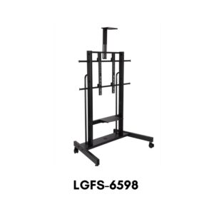 ER-LGFS6598