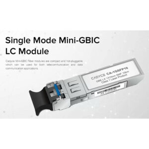 CA-1GSFP10
