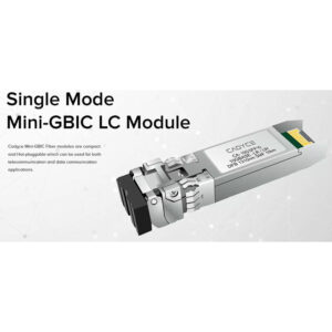 CA-10GSFP10